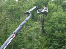 B L, Baumschnitt,1,  30.05.15.JPG